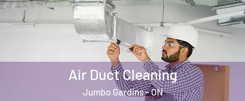  Air Duct Cleaning Jumbo Gardins - ON