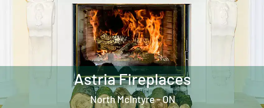  Astria Fireplaces North McIntyre - ON