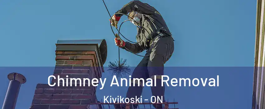 Chimney Animal Removal Kivikoski - ON