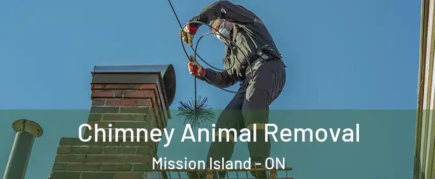 Chimney Animal Removal Mission Island - ON