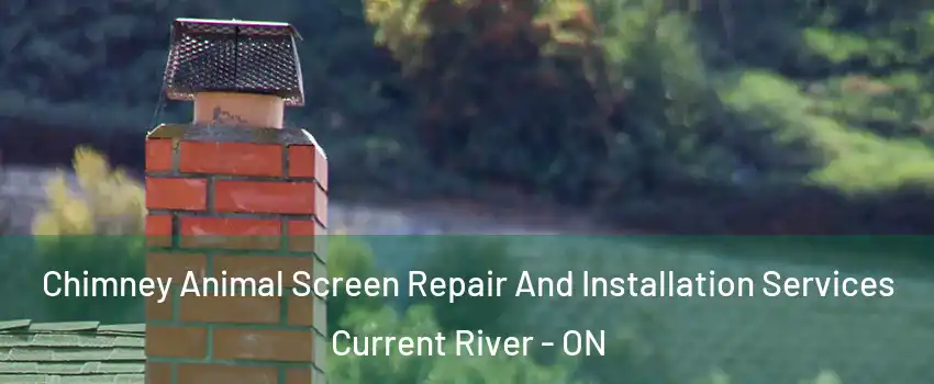  Chimney Animal Screen Repair And Installation Services Current River - ON