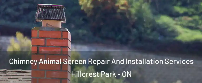  Chimney Animal Screen Repair And Installation Services Hillcrest Park - ON