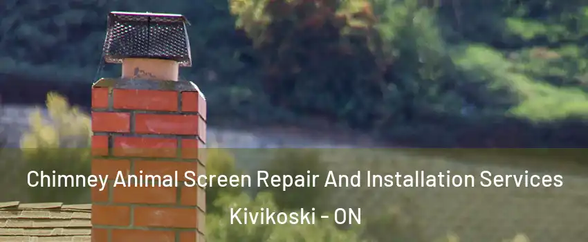  Chimney Animal Screen Repair And Installation Services Kivikoski - ON