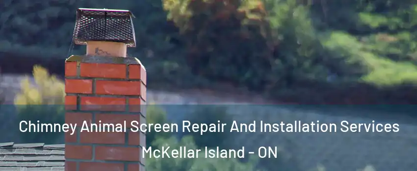  Chimney Animal Screen Repair And Installation Services McKellar Island - ON