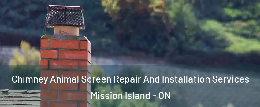  Chimney Animal Screen Repair And Installation Services Mission Island - ON