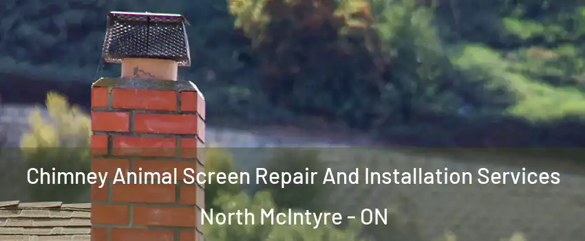  Chimney Animal Screen Repair And Installation Services North McIntyre - ON