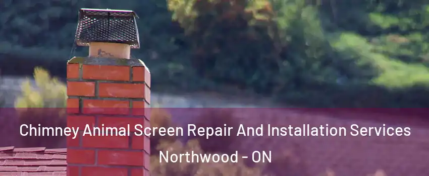  Chimney Animal Screen Repair And Installation Services Northwood - ON