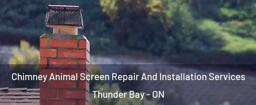  Chimney Animal Screen Repair And Installation Services Thunder Bay - ON