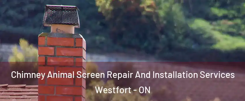  Chimney Animal Screen Repair And Installation Services Westfort - ON