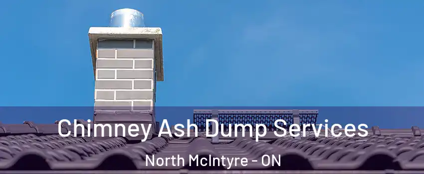  Chimney Ash Dump Services North McIntyre - ON