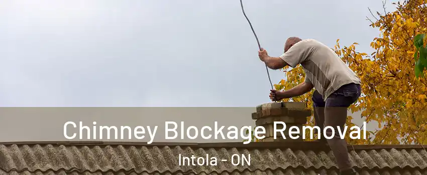  Chimney Blockage Removal Intola - ON
