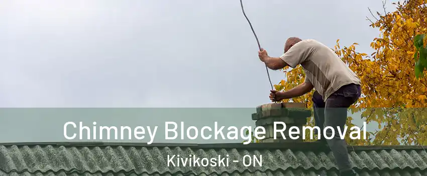  Chimney Blockage Removal Kivikoski - ON