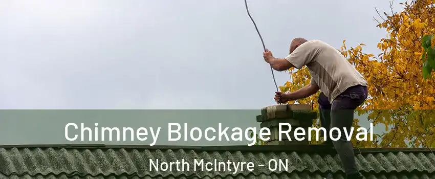  Chimney Blockage Removal North McIntyre - ON