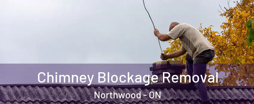  Chimney Blockage Removal Northwood - ON