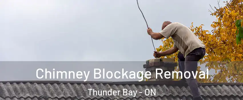  Chimney Blockage Removal Thunder Bay - ON