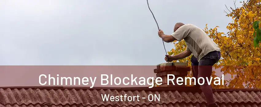 Chimney Blockage Removal Westfort - ON