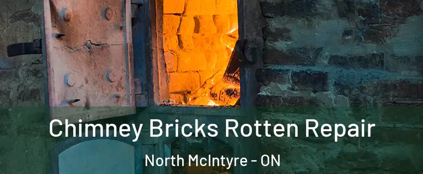  Chimney Bricks Rotten Repair North McIntyre - ON