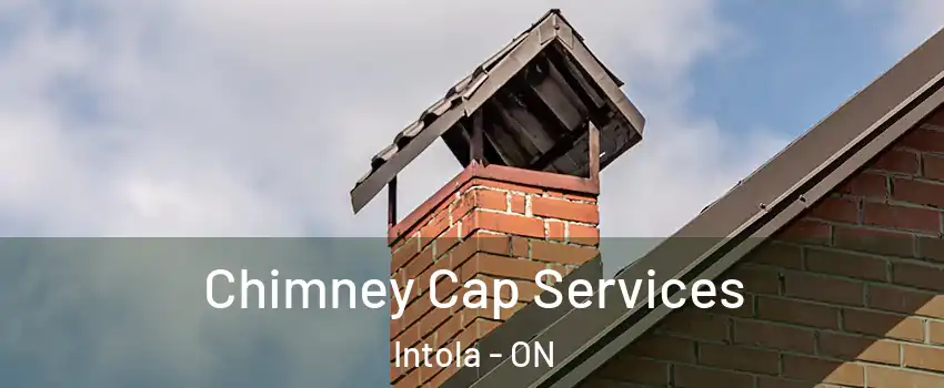  Chimney Cap Services Intola - ON
