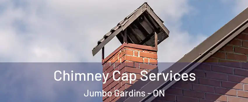  Chimney Cap Services Jumbo Gardins - ON