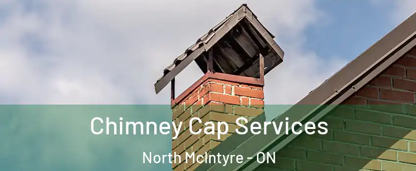  Chimney Cap Services North McIntyre - ON