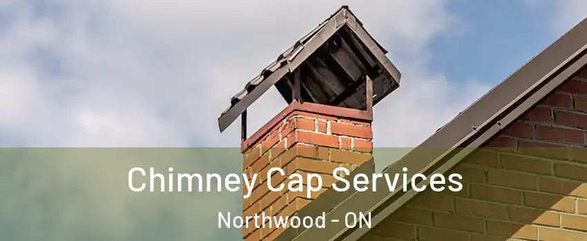  Chimney Cap Services Northwood - ON