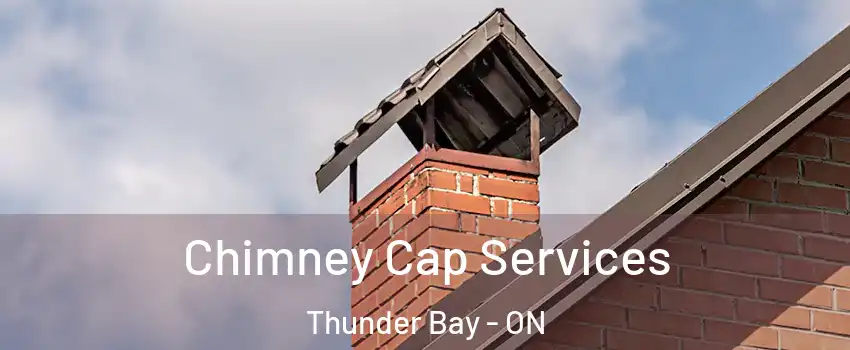  Chimney Cap Services Thunder Bay - ON