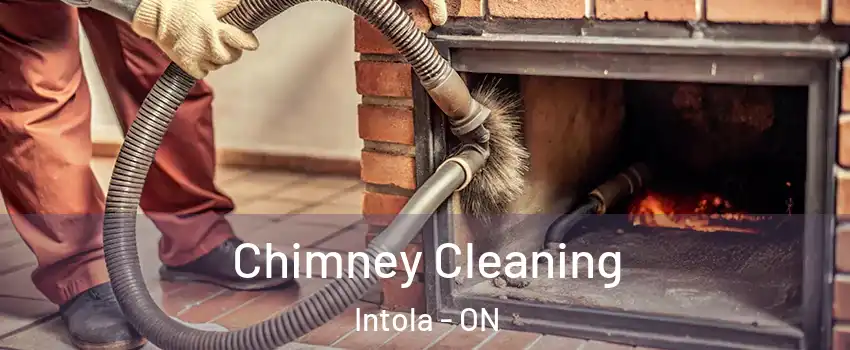  Chimney Cleaning Intola - ON