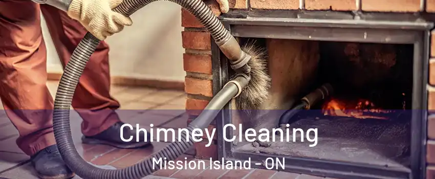  Chimney Cleaning Mission Island - ON