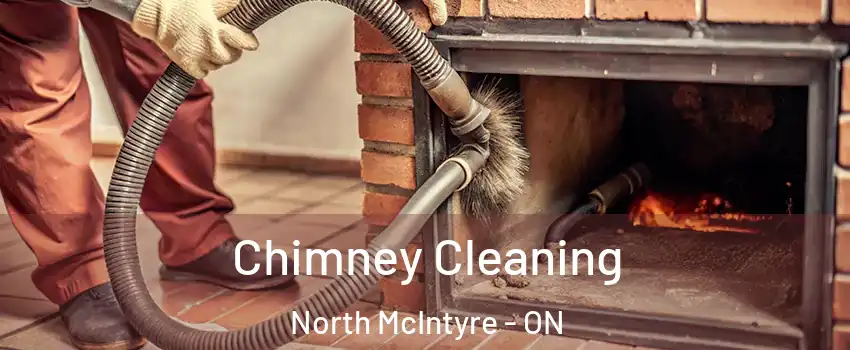  Chimney Cleaning North McIntyre - ON