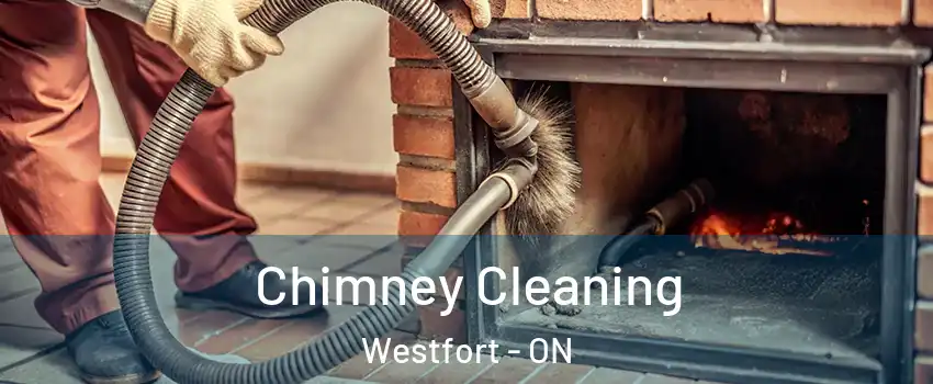  Chimney Cleaning Westfort - ON
