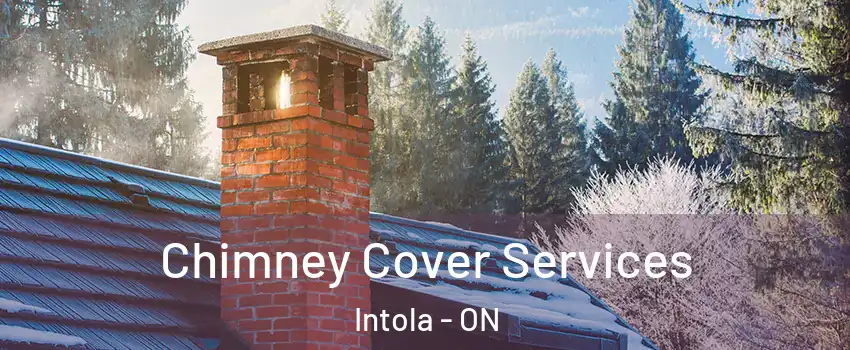  Chimney Cover Services Intola - ON