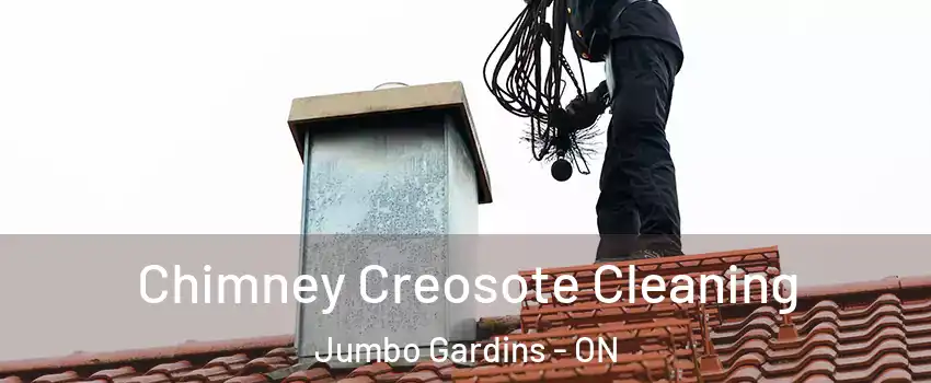  Chimney Creosote Cleaning Jumbo Gardins - ON