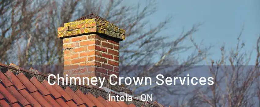  Chimney Crown Services Intola - ON