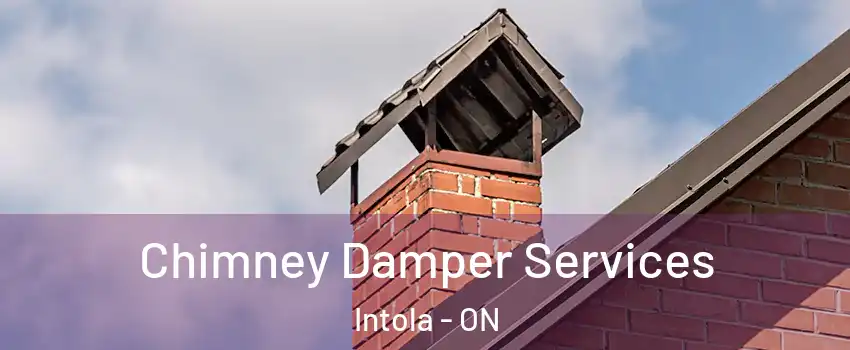  Chimney Damper Services Intola - ON