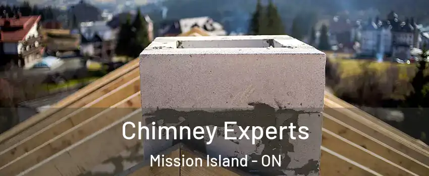 Chimney Experts Mission Island - ON