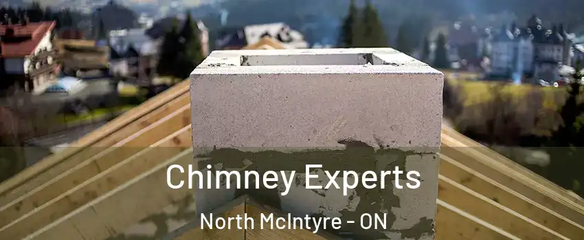 Chimney Experts North McIntyre - ON