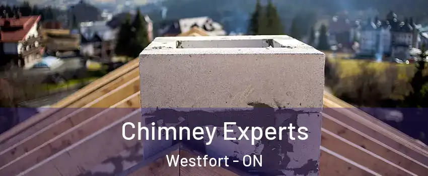 Chimney Experts Westfort - ON