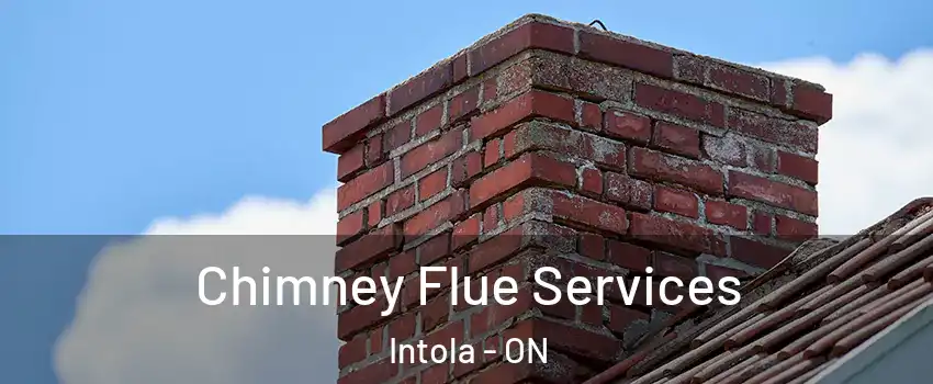  Chimney Flue Services Intola - ON