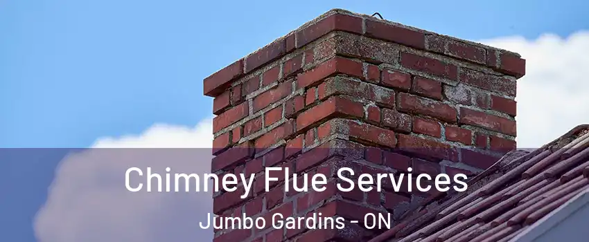  Chimney Flue Services Jumbo Gardins - ON