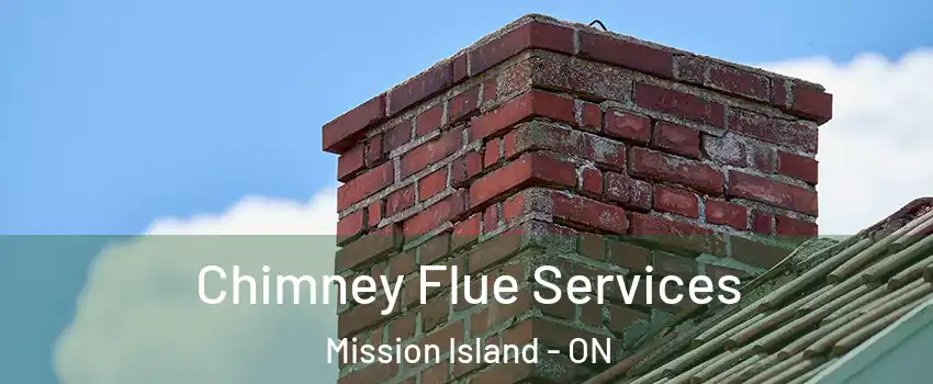  Chimney Flue Services Mission Island - ON
