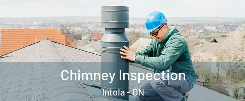  Chimney Inspection Intola - ON
