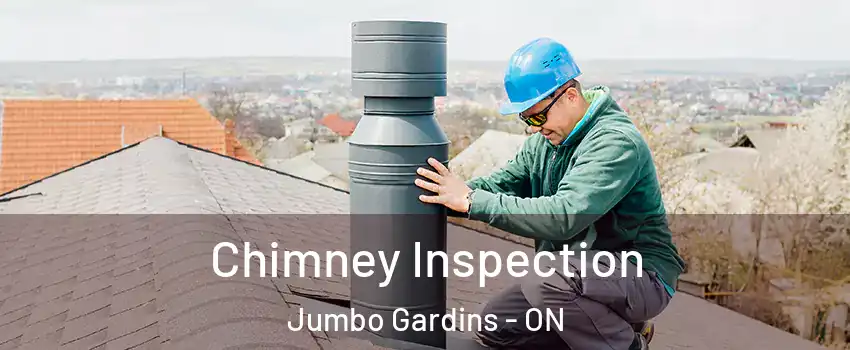  Chimney Inspection Jumbo Gardins - ON