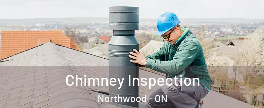  Chimney Inspection Northwood - ON