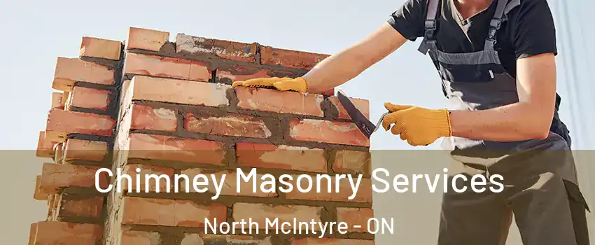  Chimney Masonry Services North McIntyre - ON