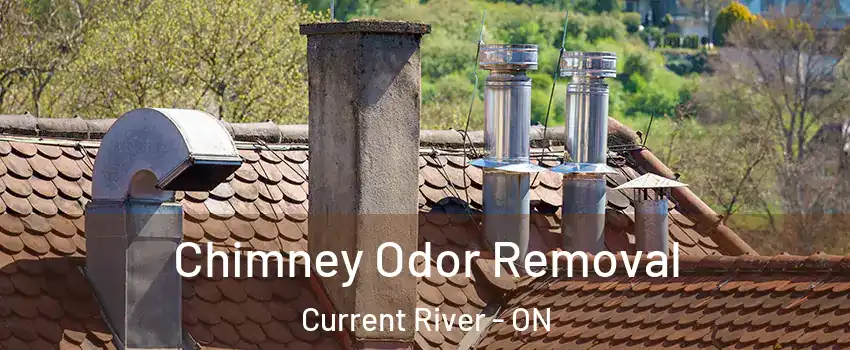  Chimney Odor Removal Current River - ON