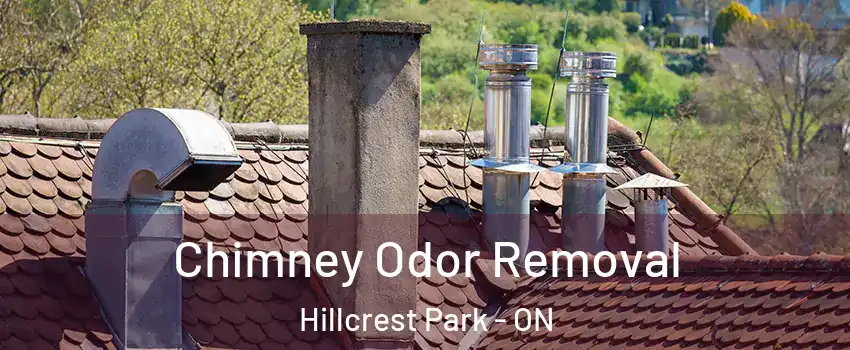  Chimney Odor Removal Hillcrest Park - ON