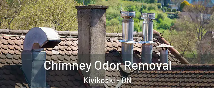  Chimney Odor Removal Kivikoski - ON