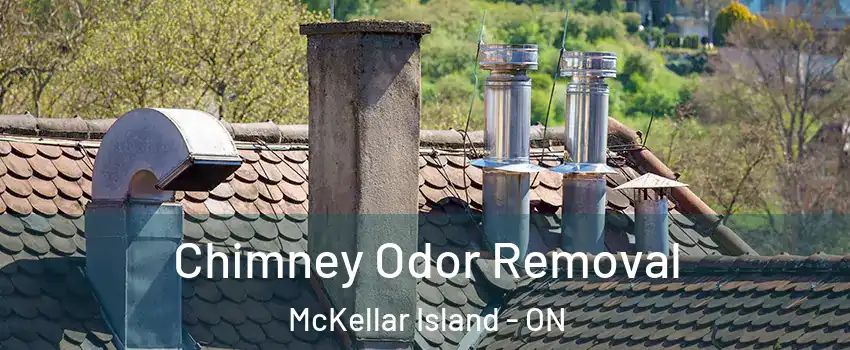  Chimney Odor Removal McKellar Island - ON