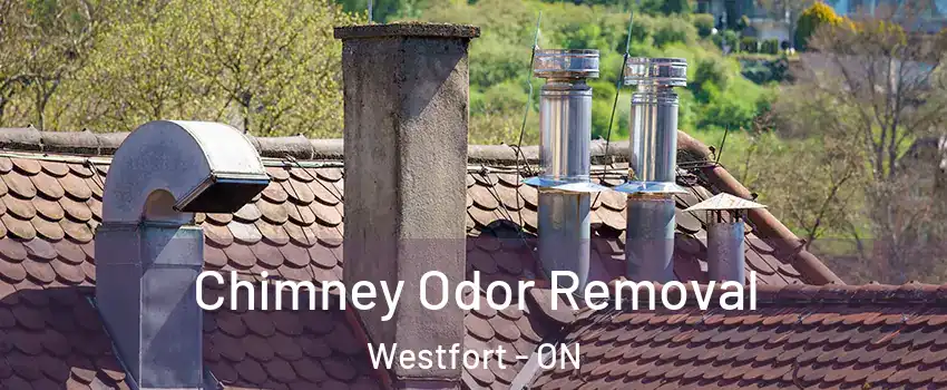  Chimney Odor Removal Westfort - ON