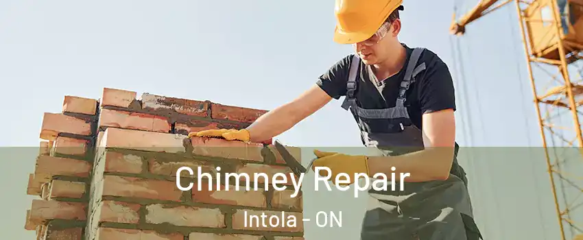  Chimney Repair Intola - ON